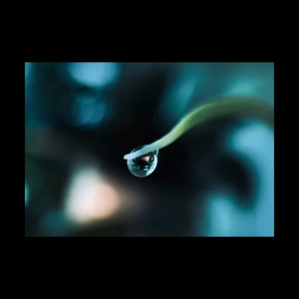 Agua 16