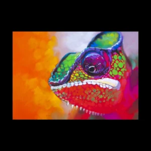 Animales 1