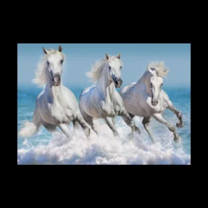 Animales 11