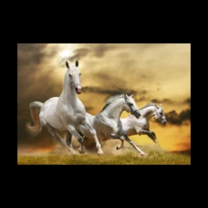 Animales 30