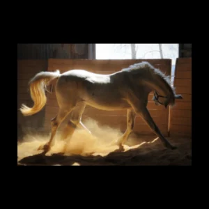 Animales 39