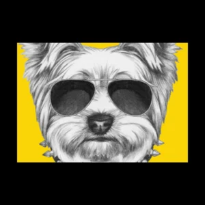 Animales 45