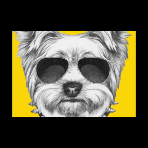 Animales 45