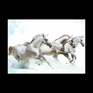 Animales 6