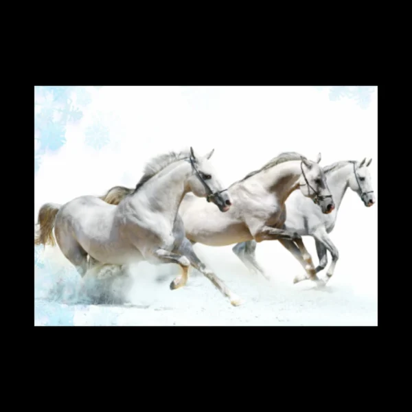 Animales 6