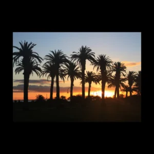 Atardecer 18