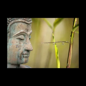 Buda 10
