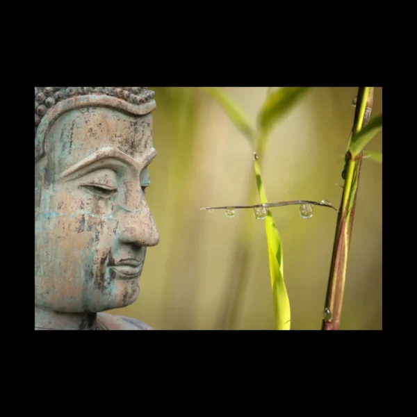 Buda 10