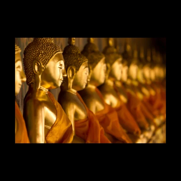 Buda 5
