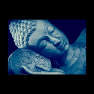 Buda 6