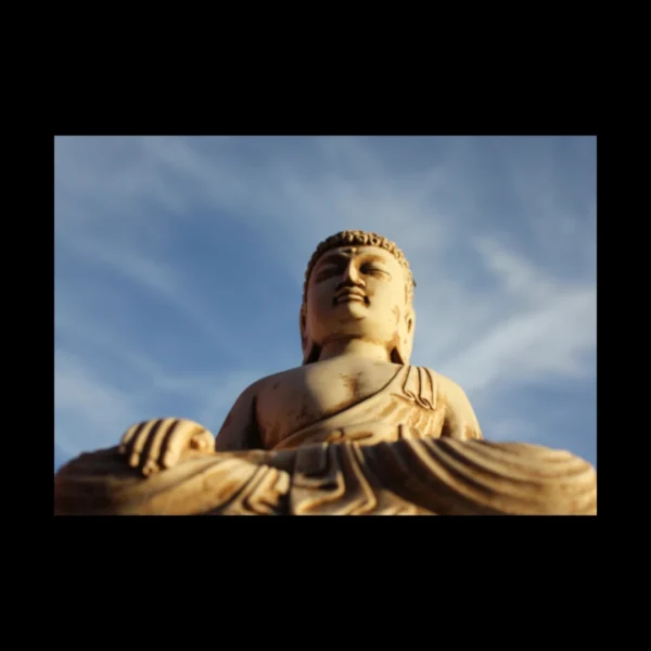 Buda 7
