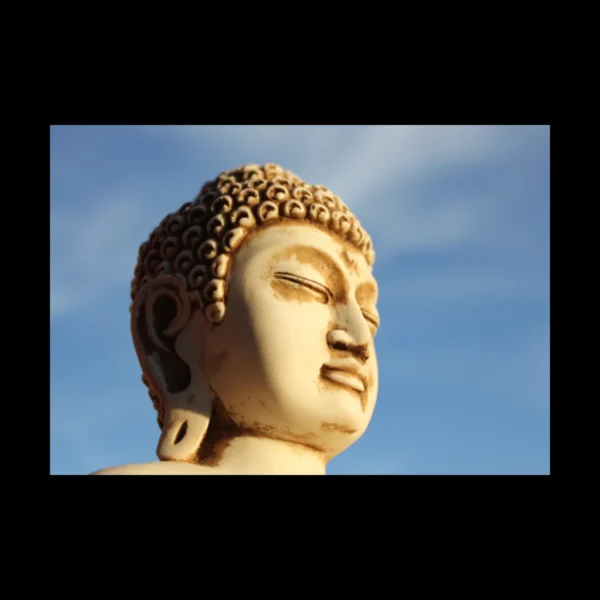 Buda 8