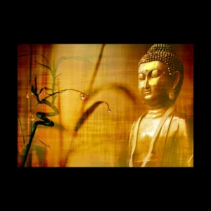 Buda 9