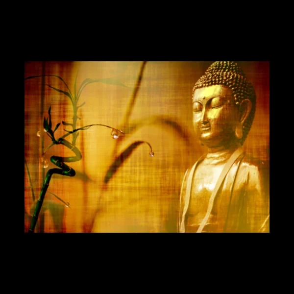 Buda 9