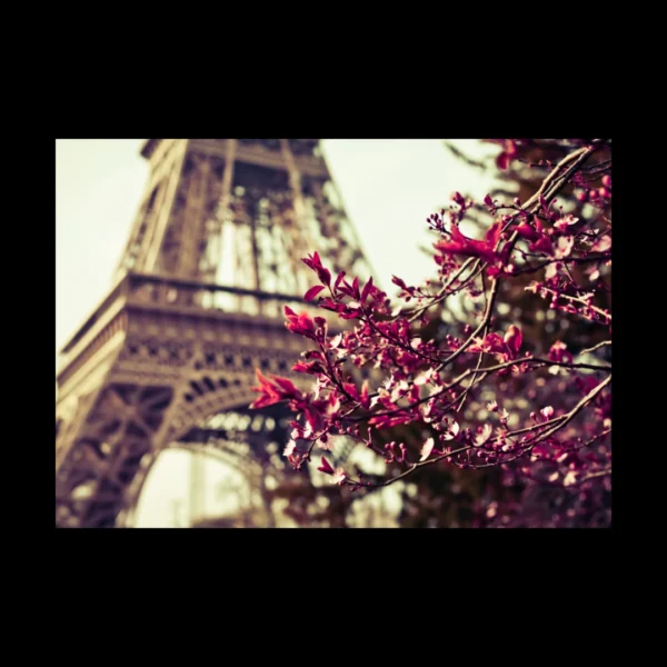 Torre Eiffel 6