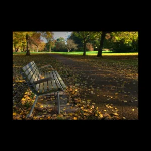 Paisajes 10