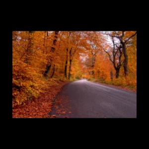 Paisajes 12