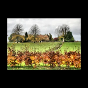Paisajes 15