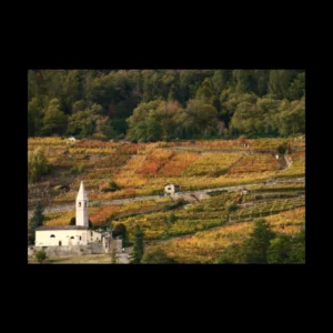 Paisajes 5