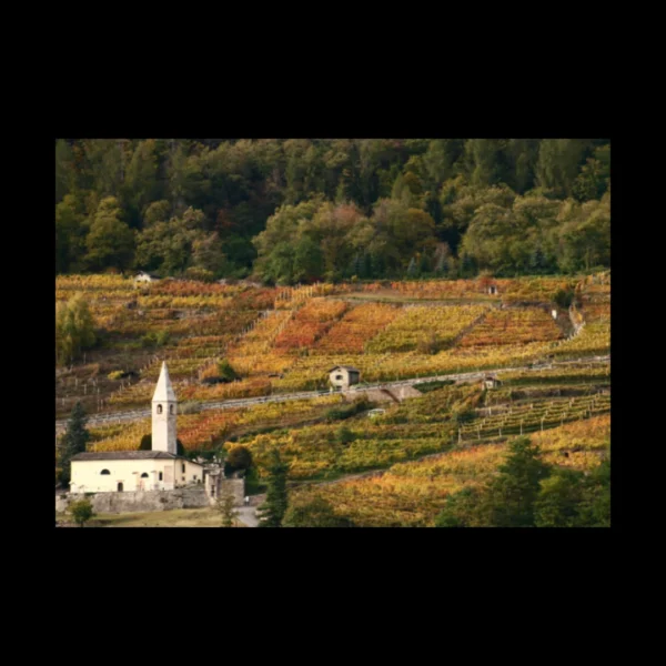 Paisajes 5