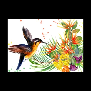 Aves 3