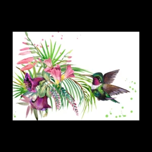 Aves 4