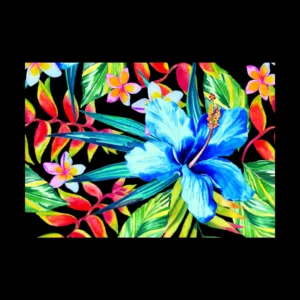 Pinturas 11
