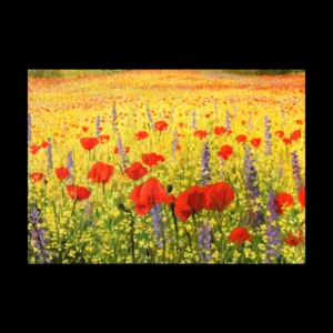 Flores 2