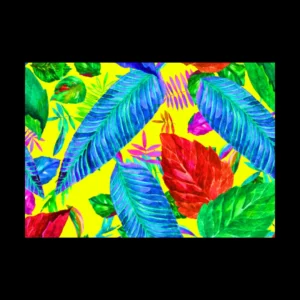 Pinturas 24