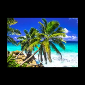 Playas 2