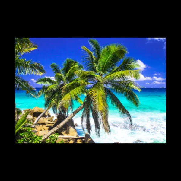 Playas 2
