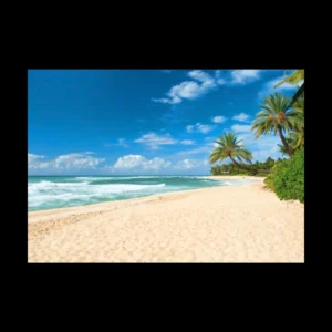 Playas 8