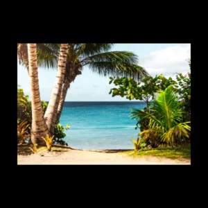 Playas 9